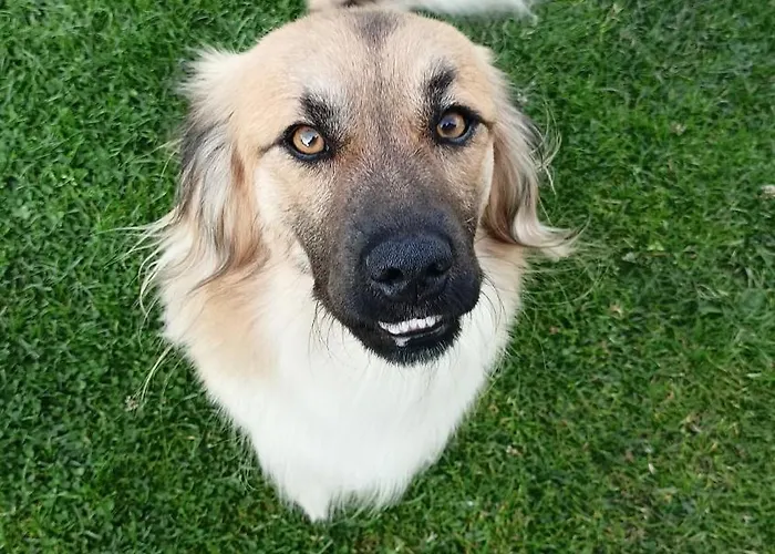 U Knutelskich * Grywald